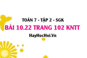 Bài 10.22 trang 102 Toán 7 Tập 2 Kết nối tri thức